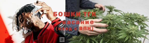 соль ск Алзамай