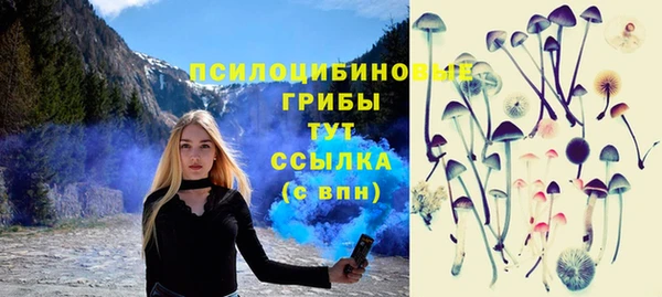 амф Алексин
