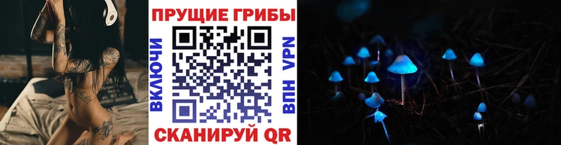 Псилоцибиновые грибы Psilocybine cubensis Мышкин